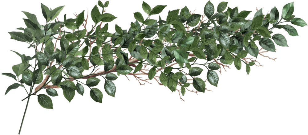 Ornament